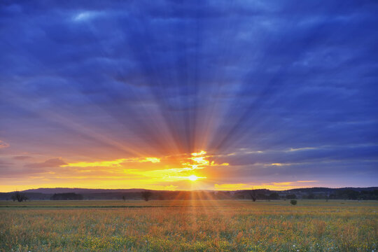 Sunrise over Meadow, Altmuhlsee, Gunzenhausen, Franconia, Bavaria, Germany