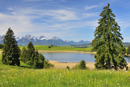 Schapfensee in Spring, Halblech, Swabia, Bavaria, Germany