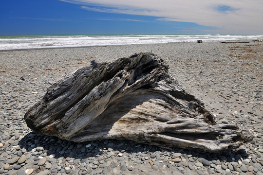 Stone Beach with Driftwood in Summer, Burke Road, Barrytown, West Coast, South Island, New Zealand