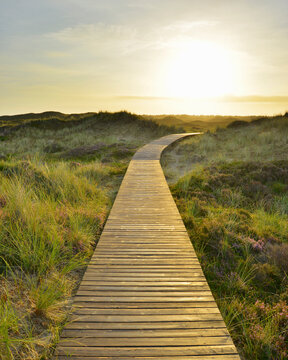 Wooden Walkway through Dunes with Sun, Summer, Norddorf, Amrum, Schleswig-Holstein, Germany