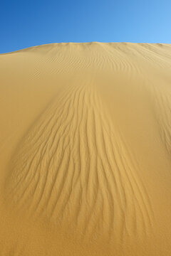 Sand Dune and Blue Sky, Matruh, Great Sand Sea, Libyan Desert, Sahara Desert, Egypt, North Africa, Africa