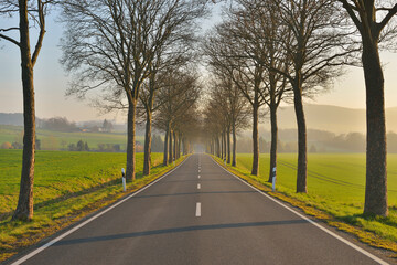 Country road in the morning, Echte, Kalefeld, Harz, Lower Saxony, Germany