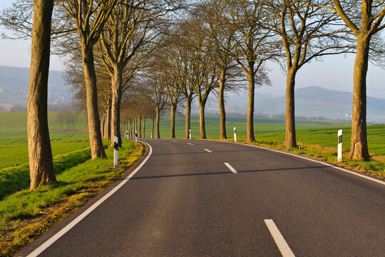 Country road in the morning, Echte, Kalefeld, Harz, Lower Saxony, Germany