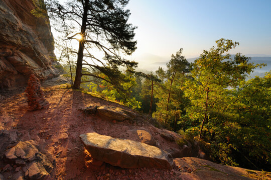 Sandstone Rock in Forest with Sun, Hochstein, Dahn, Dahner Felsenland, Pfalzerwald, Rhineland-Palatinate, Germany