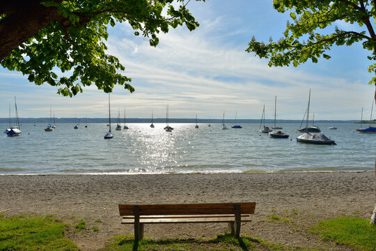 Lakeside with Bench and Tree, Herrsching am Ammersee, Lake Ammersee, Fuenfseenland, Upper Bavaria, Bavaria, Germany