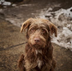 Fototapete bei efototapeten.de bestellen   