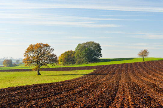 Countryside in Autumn, Vogelsbergkreis, Hesse, Germany