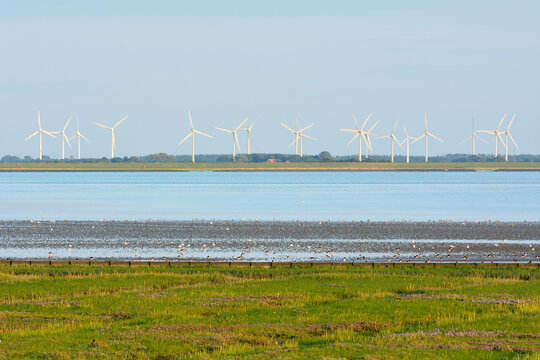 Marshland with North Sea and Wind Turbines, Norderney, East Frisia Island, North Sea, Lower Saxony, Germany