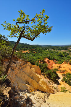 Ocher Breakage in Summer, Le Colorado Provencal, Rustrel, Provence, Vaucluse, France