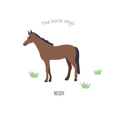 Vector cartoon brown horse. Domestic farm animal. Country inhabitants concept. For farming, animal husbandry, horse sport illustrating. Agricultural species.
