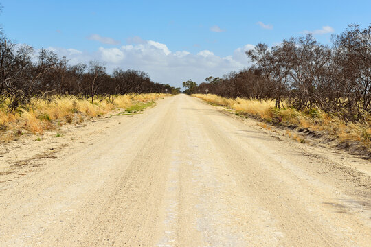 Gravel Road in Summer, Culburra, Dukes Highway, South Australia, Australia