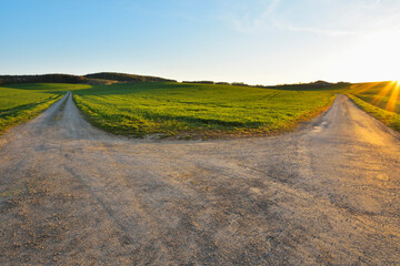Forked Road in Field with Sun, Birkenfeld, Lower Franconia, Bavaria, Germany
