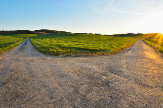 Forked Road in Field with Sun, Birkenfeld, Lower Franconia, Bavaria, Germany