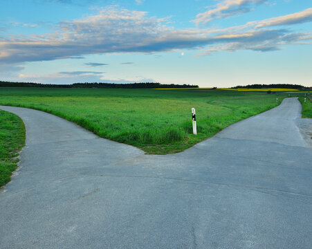 Forked Country Road in Morning, Walldurn, Neckar-Odenwald-District, Odenwald, Baden-Wurttemberg, Germany