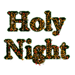 Beautiful christmas graphic element of sparkling illumination on text Holy Night made of pine with snowflake and shiny stars and red berries on transparent background (RGBA 3D Rendering PNG)