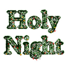 Beautiful christmas graphic element of sparkling illumination on text Holy Night made of pine with snowflake and shiny stars and red berries on transparent background (RGBA 3D Rendering PNG)