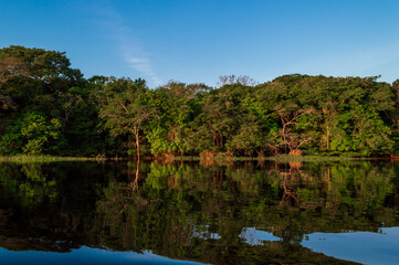 Fototapeta na wymiar Mirror reflections on the water of Rio Amazonas in Brazil at sunset during a canoe excursion in the middle of the rain forest