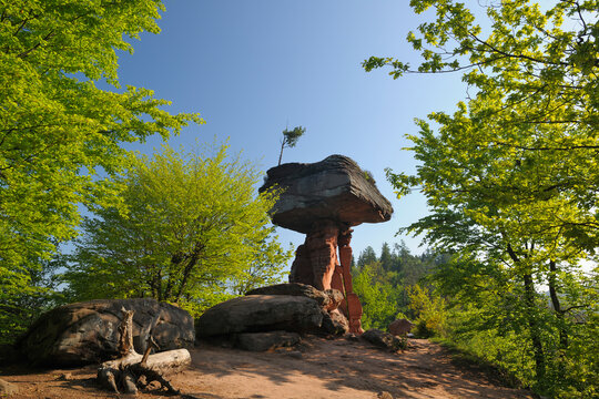 The Devil's Table Rock Formation,Teufelstisch, Hinterweidenthal, Pfaelzerwald, Rhineland-Palatinate, Germany