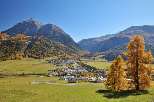 La Punt-Chamues-ch in Autumn, Maloja, Canton of Graubunden, Switzerland
