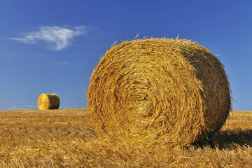 Hay Bale, Province of Siena, Tuscany, Italy
