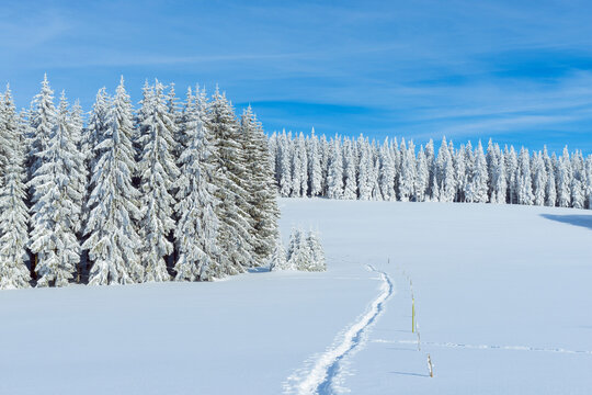 Snow Covered Winter Landscape with Snowshoe Trail, Schauinsland, Black Forest, Freiburg im Breisgau, Baden-Wurttemberg, Germany