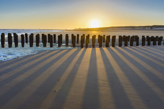Wooden Breakwater on Sandy Beach at Low Tide at Sunrise, Domburg, North Sea, Zeeland, Netherlands