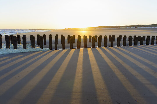 Wooden Breakwater on Sandy Beach at Low Tide at Sunrise, Domburg, North Sea, Zeeland, Netherlands