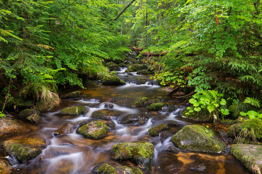 Mountain stream after rain at Kleine Ohe at Waldhauser in the Bavarian Forest National Park in Bavaria, Germany