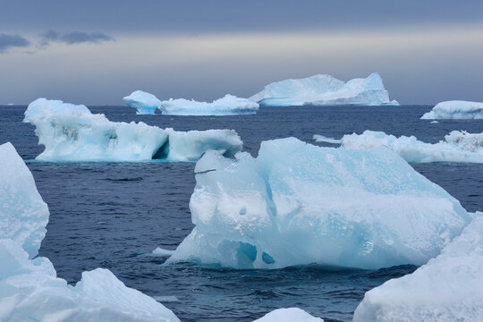 Icebergs and large pieces of ice at Brown Bluff at the Antarctic Peninsula, Antarctica