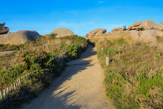 Coastal path in the evening, Ploumanach, Cote de Granit Rose, Cotes-dArmor, Brittany, France, Europe