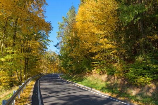 Road leads through forest in autumn, Rothenbuch, Spessart, Bavaria, Germany