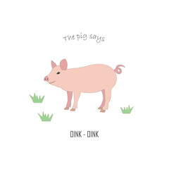 Funny vector realistic pig, farm animal. Educational illustration for preschool children with oink pig sound