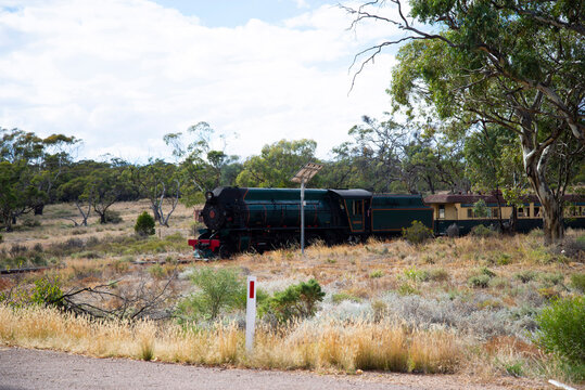 Historic and Operational Steam Train