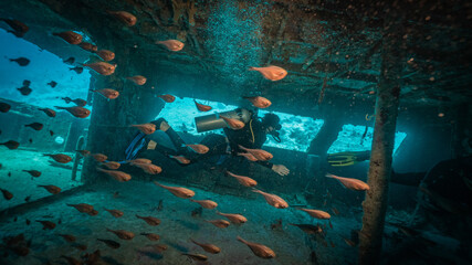 two divers penetrating shipwreck many fish inside
