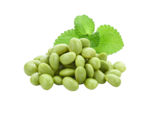 edamame beans isolated transparent png
