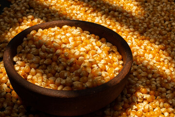 corn grains inside a clay plate on more corn grains