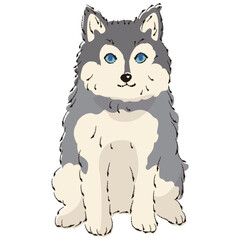 ポンスキーのイラスト（ポメラニアンとシベリアンハスキーのミックス犬）
