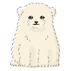 マルポメのイラスト（マルチーズとポメラニアンのミックス犬）