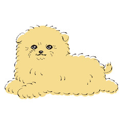 ポメプーのイラスト（ポメラニアンとトイプードルのミックス犬）