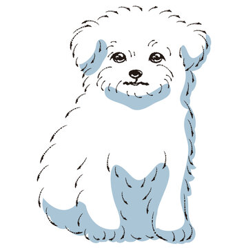 【kazu】 鉛筆画 犬 チワワ マルチーズ 手描き イラスト 原画 kazu】 鉛筆画 犬 チワワ マルチーズ 手描き イラスト 原画 kazu