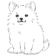 ポメチワのイラスト（ポメラニアンとチワワのミックス犬）