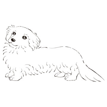 ダップー」の写真素材 | 92件の無料イラスト画像 | Adobe Stock