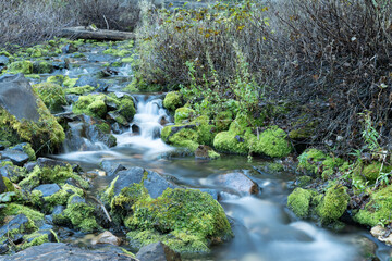 Stream flowing through a mountain forest with moss on the rocks