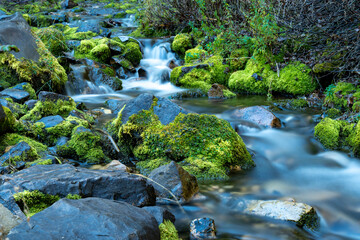 Creek in the mountains flowing through a moss-covered stones - long exposure