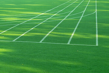 Obraz premium Green grass background, football field