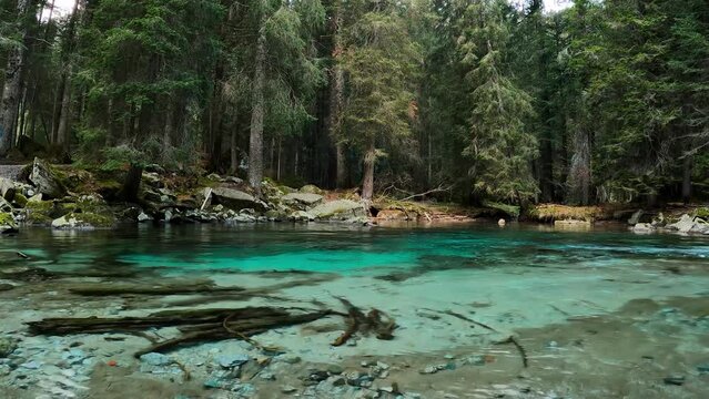 Autumn Landscape on Lake Amola.
