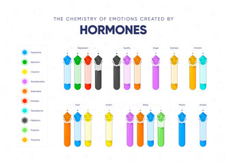 The chemistry of emotions created by hormones. Dependence of the state and mood of the person on hormonal background. Names of hormones and medical flasks filled with hormones. Vector illustration - obrazy, fototapety, plakaty