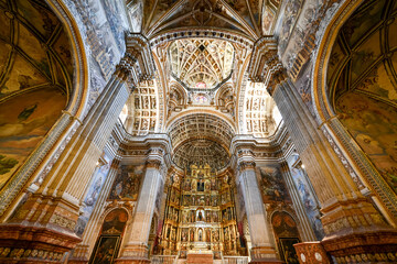 Fototapeta na wymiar Cathedral of Granada - Spain