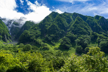 Obraz premium landscape in the mountains