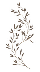 Set of leaves on White transparent background. Stock vector illustration. 04